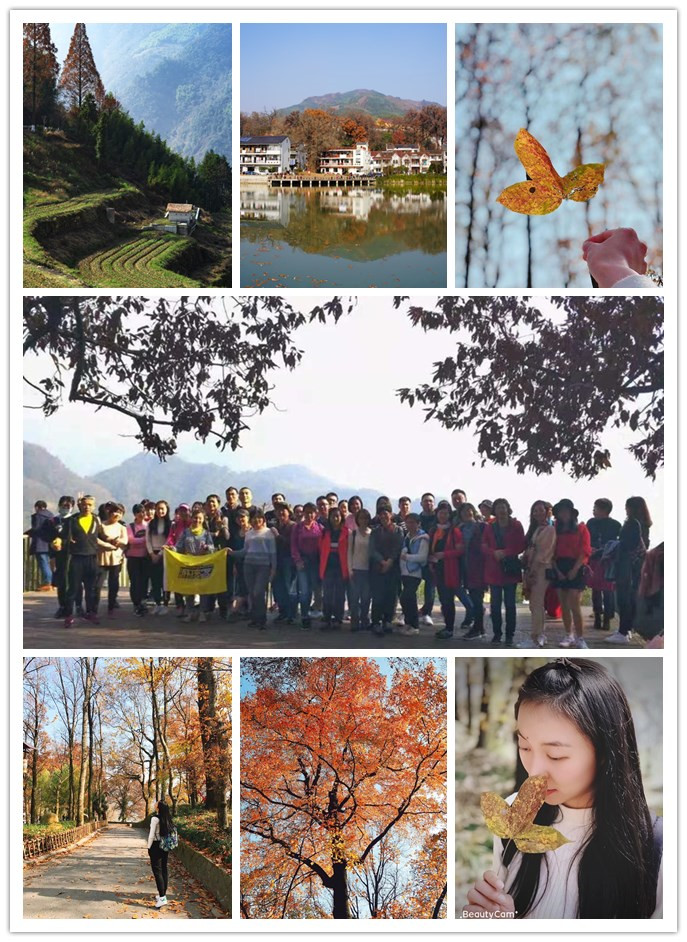千亿国际电子交易市场组织“指南村赏秋”活动